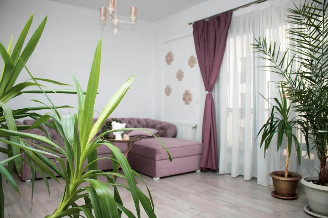 Cozy Special Queen Mary Apartment With Parking Βουκουρέστι